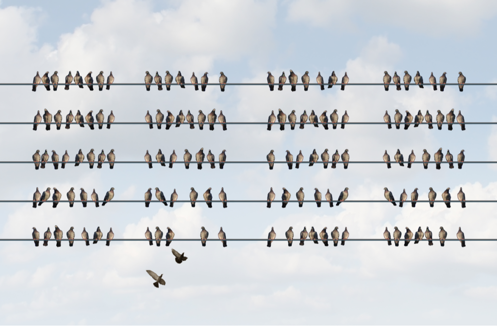 Birds are aligned perfectly on telephone wires, with two birds flying into formation