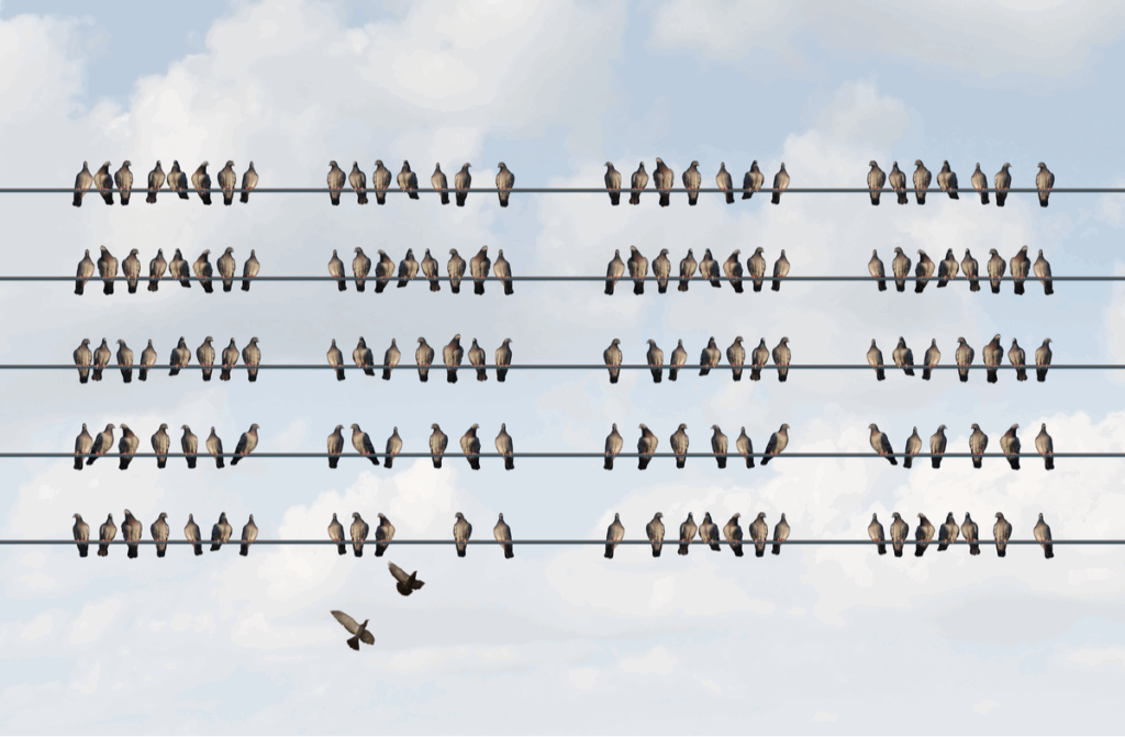 Birds are aligned perfectly on telephone wires, with two birds flying into formation
